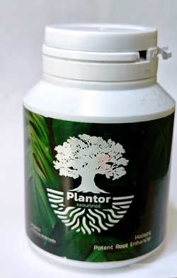 Укоренитель Plantor Тайланд