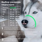 Недоуздок "Поларис" для собак