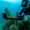 GoPro Hero13 Black Edition