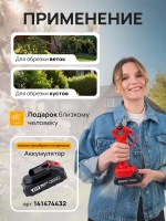 Секатор аккумуляторный садовый с двумя аккумуляторами