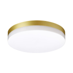 Уличный потолочный светодиодный светильник 358888 STREET NT22 золото IP54 LED 4000К 30W 220V OPAL