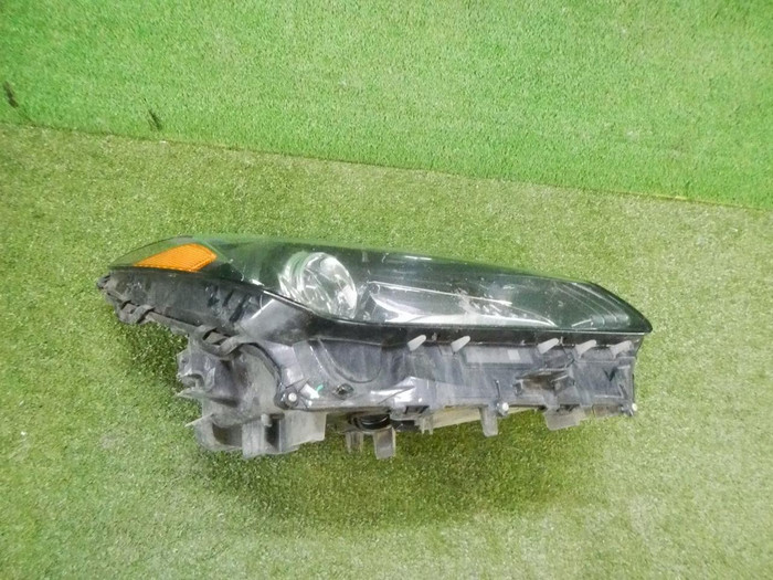 DSCN4564.jpg