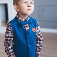 Жилетка Гарвард "Индиго"