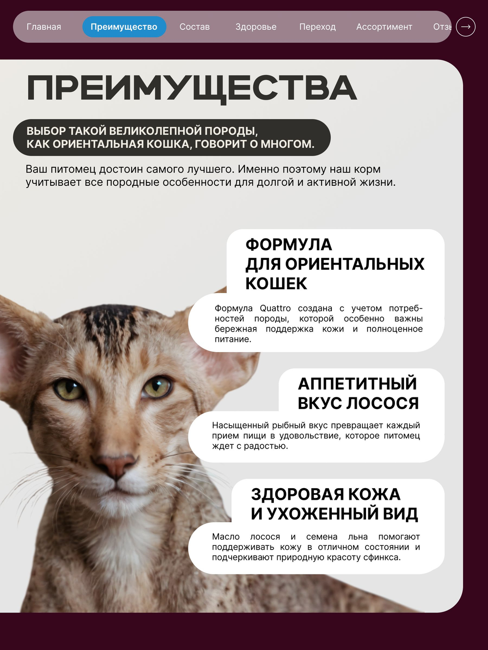 Корм сухой для взрослых кошек породы Ориентальная кошка, с лососем, 2 кг, QUATTRO