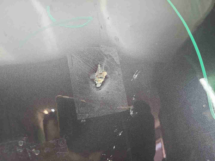 IMG_20260425_143255.JPG