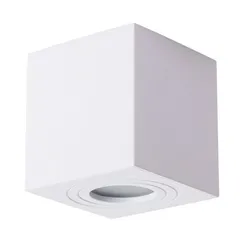 Потолочный светильник уличный Galopin A1461PL-1WH Arte Lamp