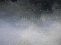 DSCN5341.JPG