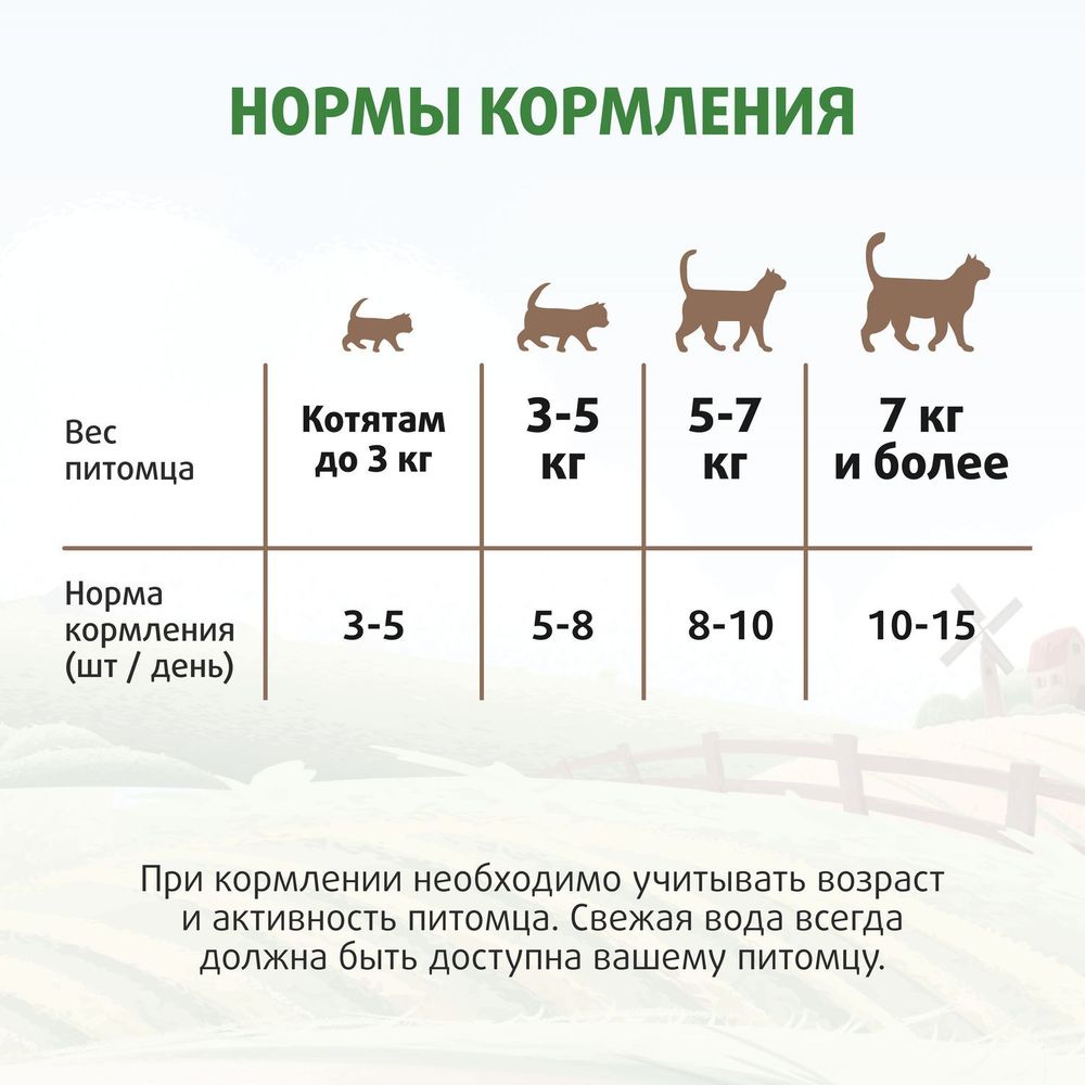 Лакомство Ферма кота Федора для кошек и котят, хрустящие подушечки с паштетом из говядины