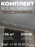 Комплект трековый Hesby Lighting No3 однофазная накладная Skylite HSBL_kompl_S003_NI4W3K