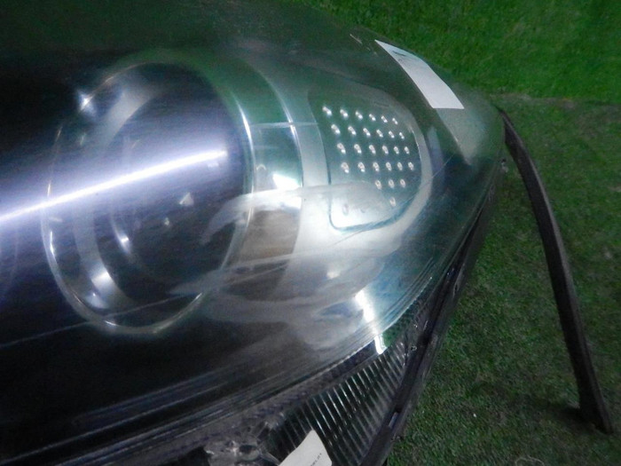 DSCN5454.JPG