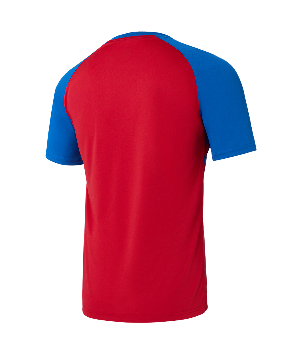 Футболка игровая Jogel Camp Striped Jersey, красный R2/синий Z2