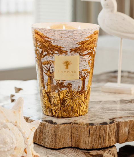 Cocody, свеча MAX 24 Sacred Trees collection, Baobab Collection
