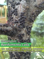 Средство от грибка и плесени в погребе