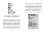 Краткая история Китая