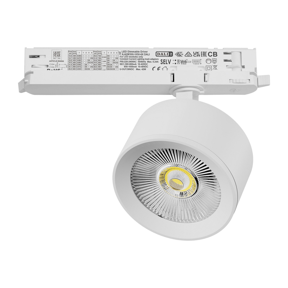 Светильник на штанге Lightstar Alta Pro A5536DALI