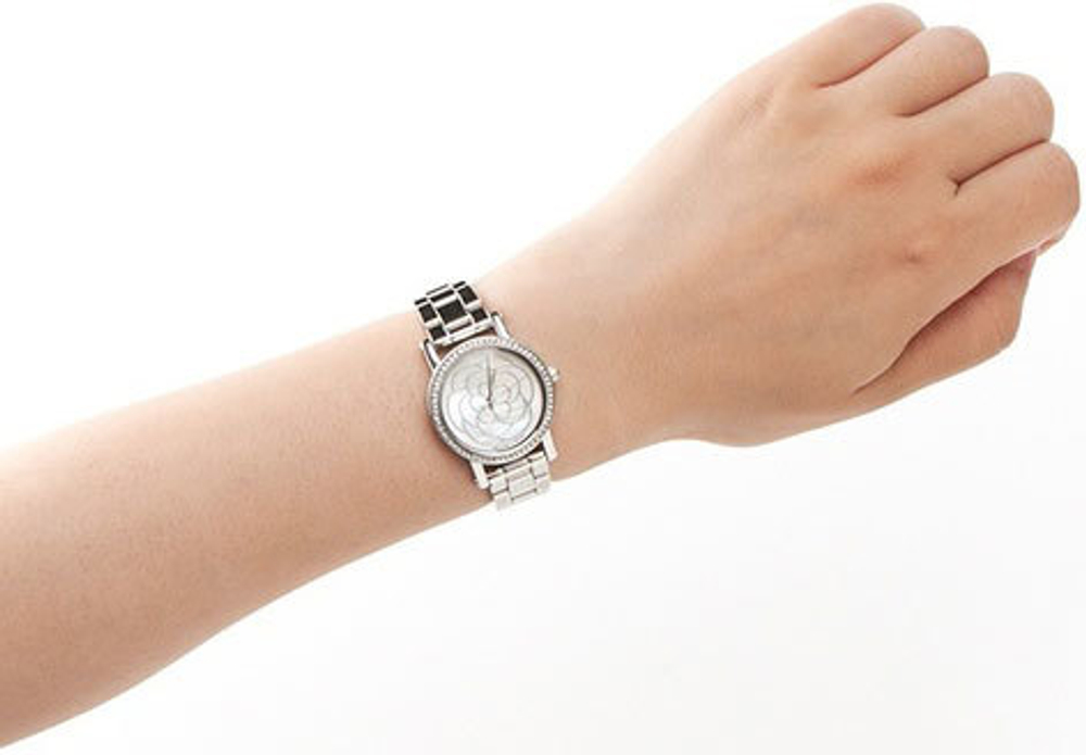 Наручные часы Michael Kors MK3891