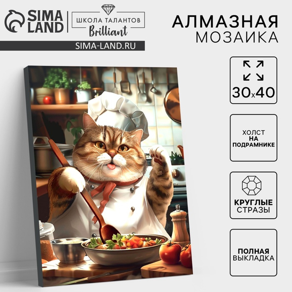 Алмазная мозаика с полным заполнением на холсте с подрамником «Толстенький повар», 30×40 см