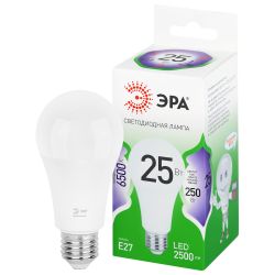 Лампа светодиодная ЭРА GREEN LINE LED A60-25W-865-E27 GL 25Вт груша холодный свет E27 | Лампы cветодиодные Груша (A)