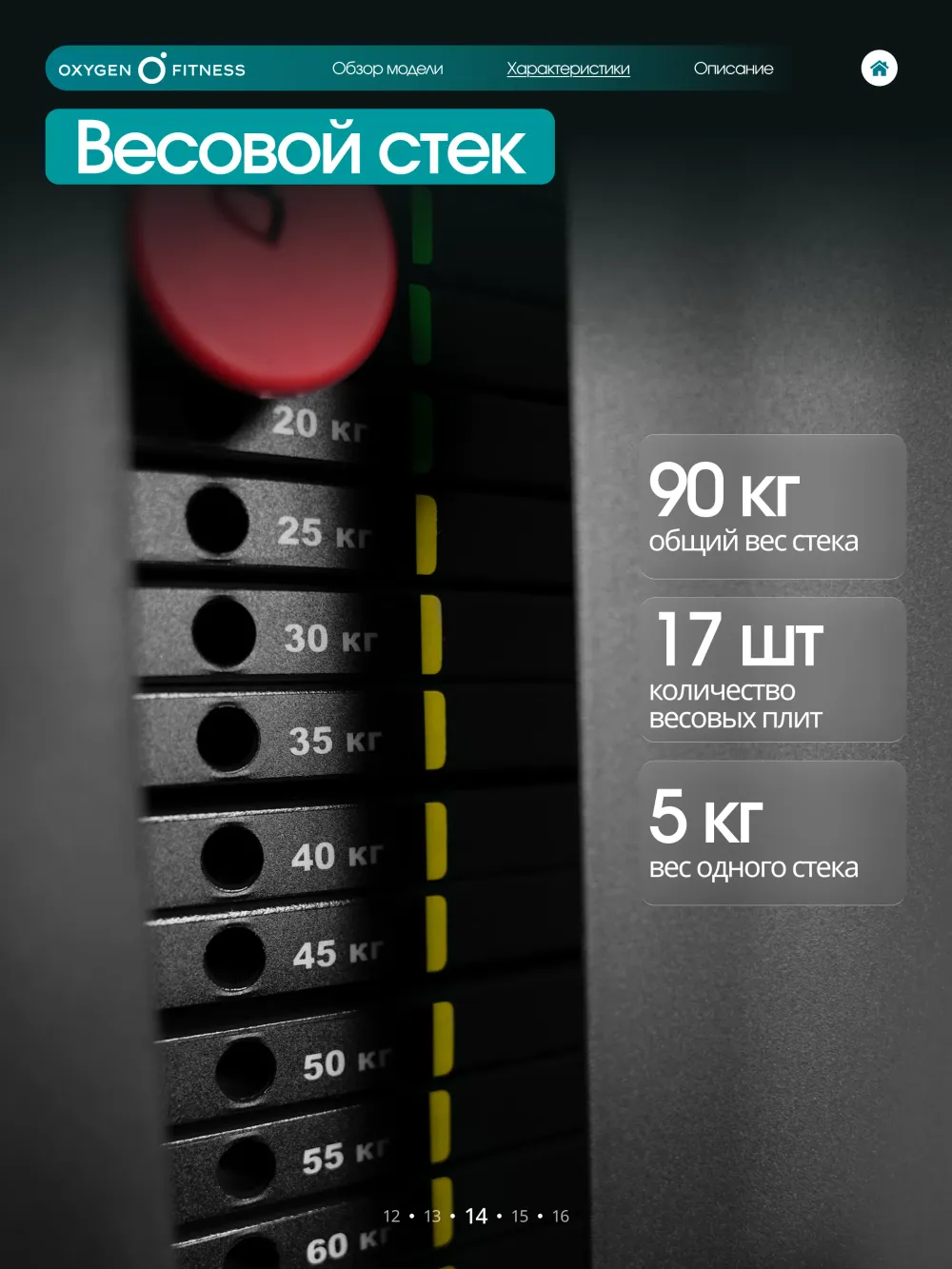 Силовой комплекс OXYGEN FITNESS IRON полукоммерческий
