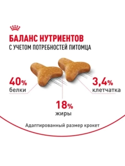 Bengal Корм для кошек бенгальской породы 400г