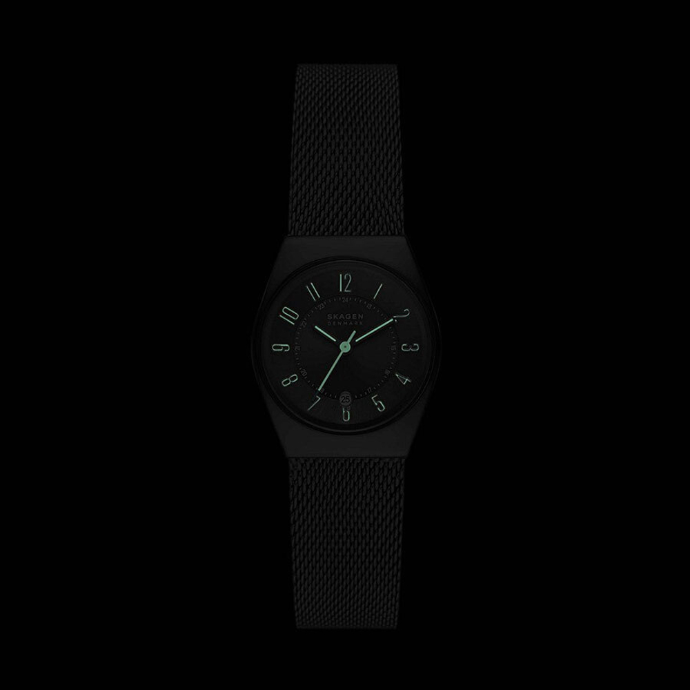 Женские наручные часы Skagen SKW3039
