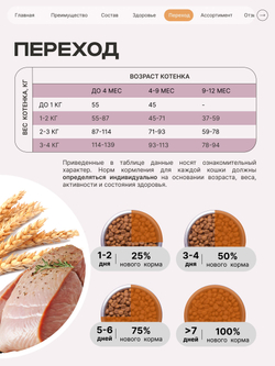 Корм сухой для котят породы Абиссинская, с индейкой, 2кг, QUATTRO