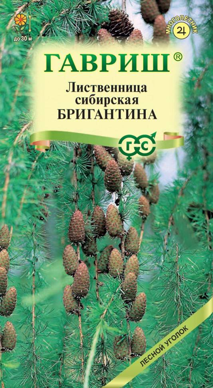 Лиственница сибирская Бригантина 0,2г  *10 ГШ 34.51 3421