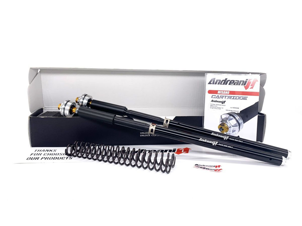 105/D39E ANDREANI MISANO EVO 2 HYDRAULIC CARTRIDGE KIT (HM 950)