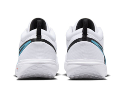 Мужские кроссовки теннисные Nike Zoom Court Pro HC - белый