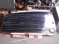 DSCN4646.JPG