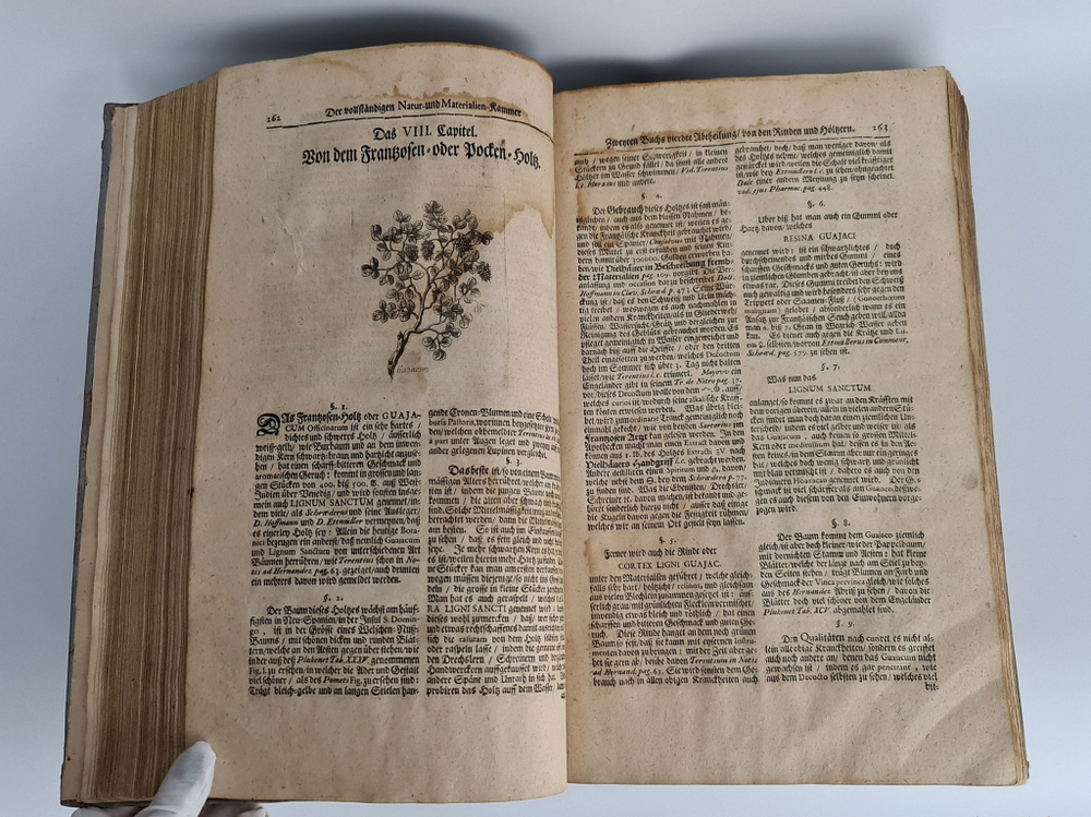 "Museum museorum, oder Vollstandige Schau-Buhne aller Materialien und Specereyen [...] aus andern Material-Kunst und Naturalien Kammern Oost und West-Indischen Reisbeschreibungen". D. Michael Bernhard Valentini. 1714 г.