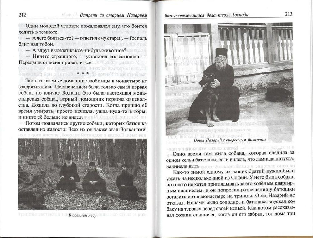 Встречи со старцем Назарием. Жизнеописание. Велизар Пейков.