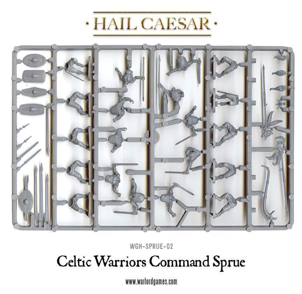 Celtic Warriors