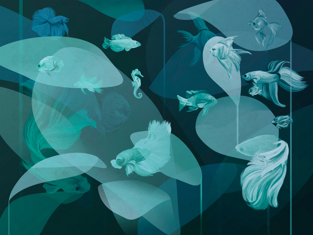 Коллекция OCEANARIUM