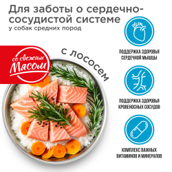 Корм сухой для взрослых собак средних пород, премиум полнорационный комплекс, забота о сердце и сосудах, с лососем, 12 кг, QUATTRO