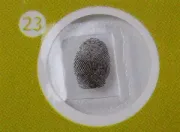 Набор микропрепаратов Levenhuk LabZZ P12, растения