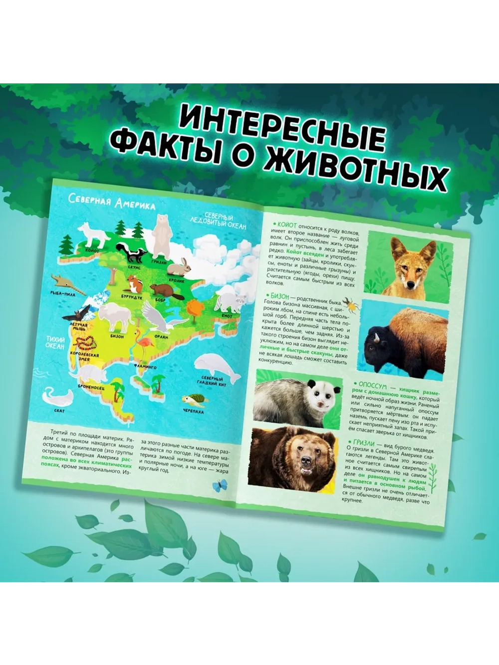 Подарочный набор для детей Животные нашей планеты