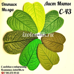 Молд С-43 «Лист Мяты», 6*4 см