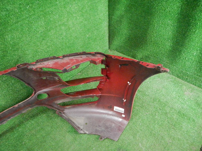 DSCN0217.JPG