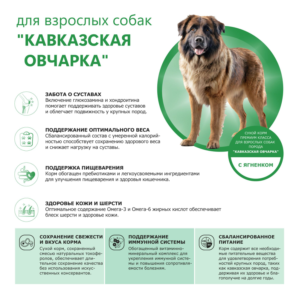 Корм сухой для взрослых собак породы Кавказская овчарка, с ягненком, 2.5 кг, QUATTRO
