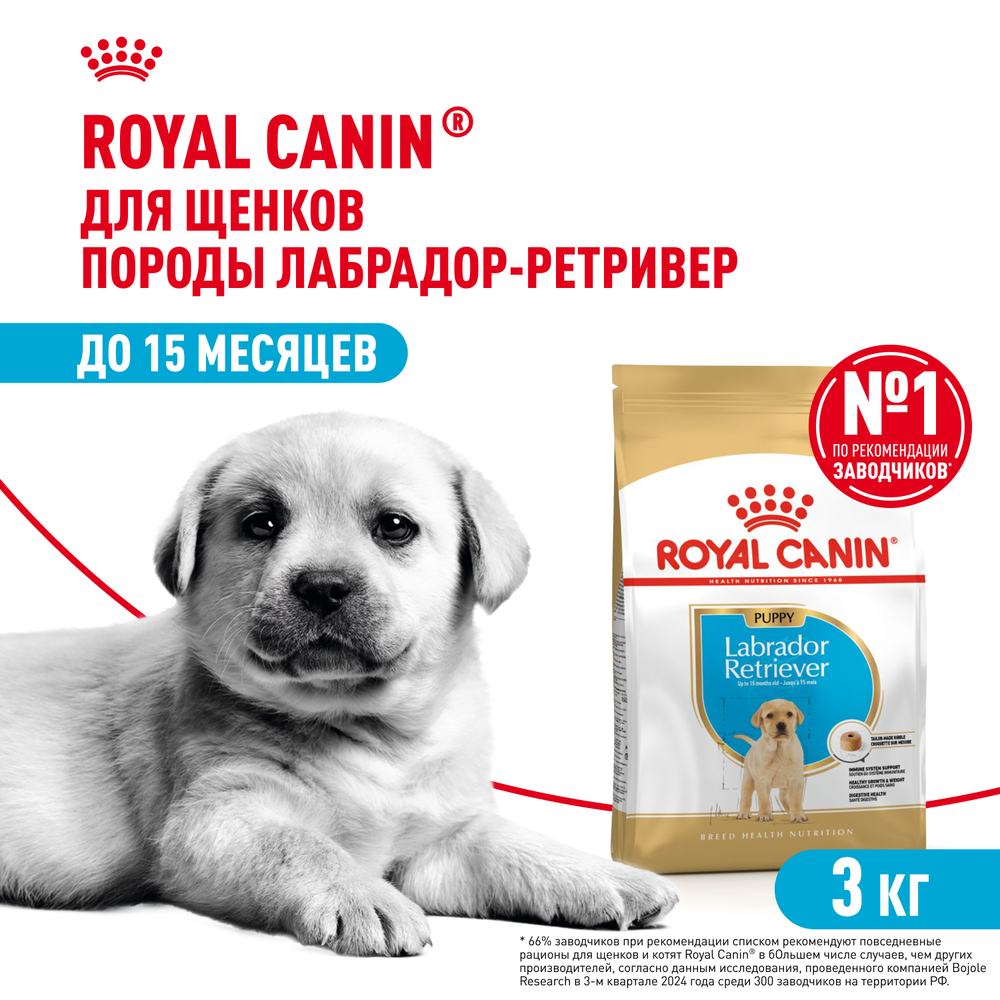 Royal Canin Labrador Retriever Puppy Лабрадор Ретривер Паппи Корм сухой для щенков породы Лабрадор Ретривер до 15 месяцев 3кг