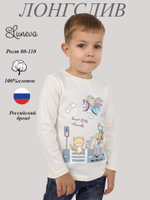4-136-1 Джемпер для мальчика