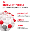 Royal Canin Cocker Adult Кокер Эдалт Корм сухой для взрослых собак породы Кокер Спаниель от 12 месяцев 12кг