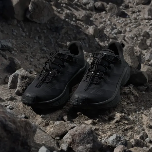 Кроссовки мужские ADIDAS TERREX FREEHIKER SL GTX