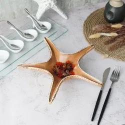 Блюдо для подачи 28*28 см h6 см 100 мл для закусок Звезда Pearl Starfish Frutti di Mare P.L. [1]