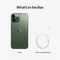 Apple iPhone 13 Pro Max 512GB Alpine Green (Альпийский зелёный)
