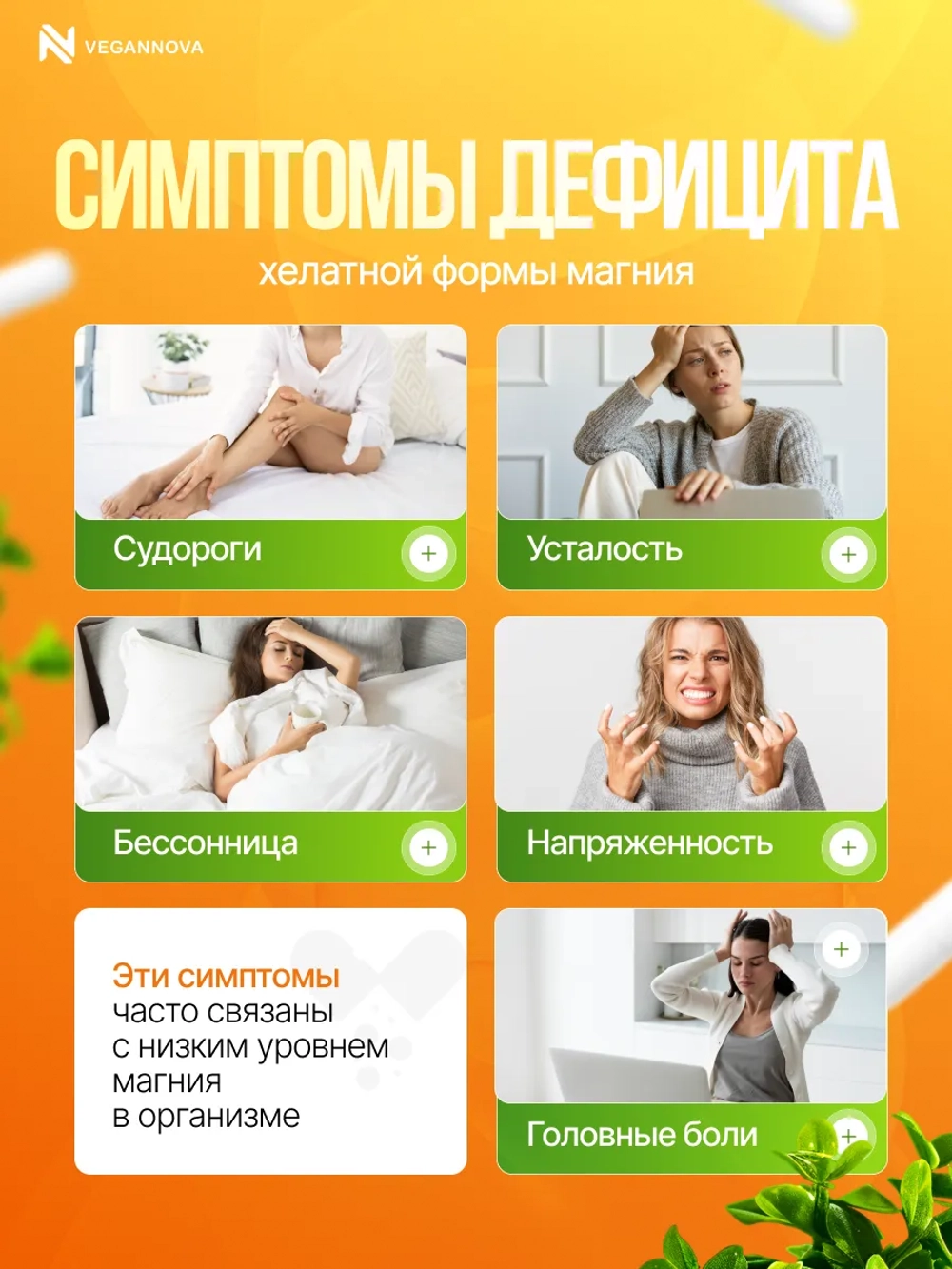 Магний хелат+В6 (240 капсул)