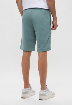 Шорты спортивные мужские PUMA ESS 2 COLOR No. 1 Logo Shorts 10" TR