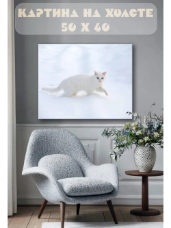 Картина на стену 40 X 50 Белый кот