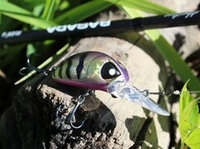 Обзор воблера Lucky John Haira Tiny 33 LBF
